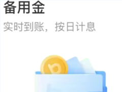 ֧�������ý��������� ֧�������±��ý�ȡ��ʧ����ʲôԭ��