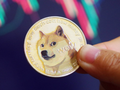 doge���������� doge������ƽ̨�̵�