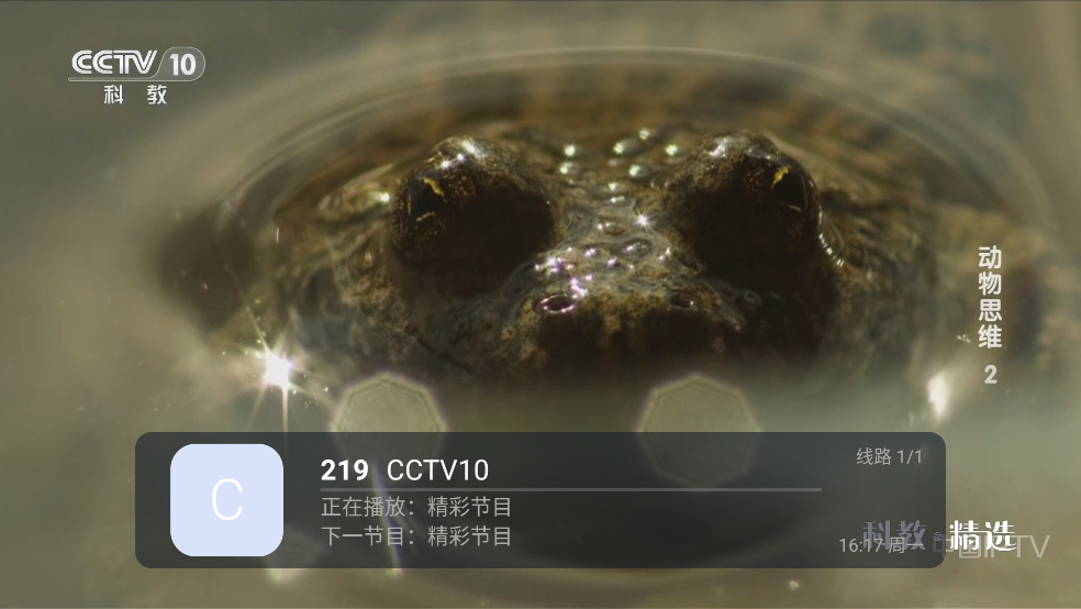 ����ֱ���۰�̨Ƶ��appv5.2.0 �ٷ���