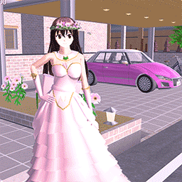 ӣ��ѧУ��ѧ����Ϸv1.1 ���°�