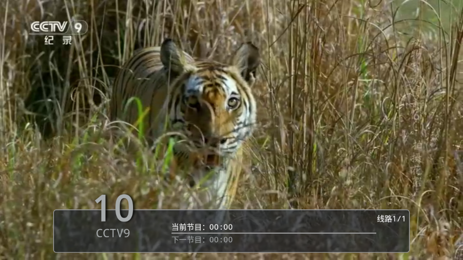 ���Ա�TV��������v6.3.3.7 �ٷ���