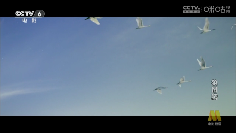 �׷�TV���Ӱ�v1.0.0 ��׿��