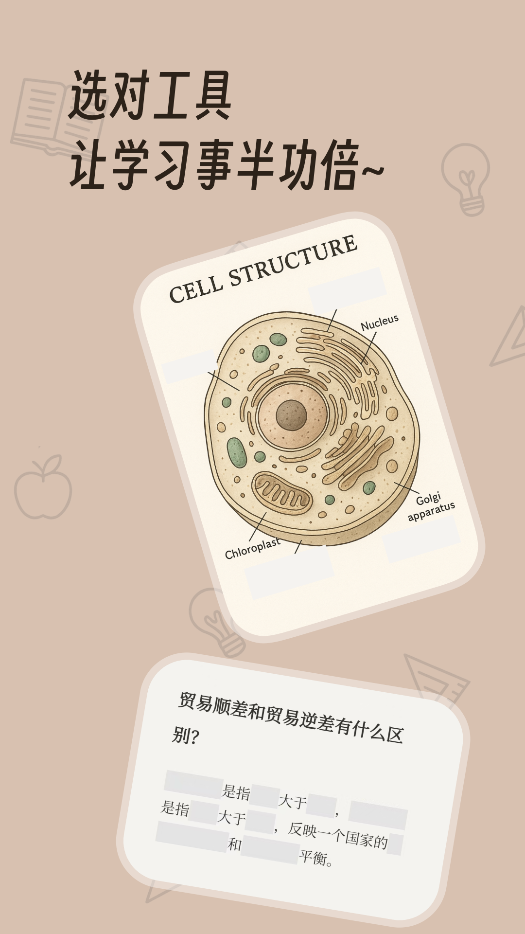 noolingo appv1.4.0 ��׿��