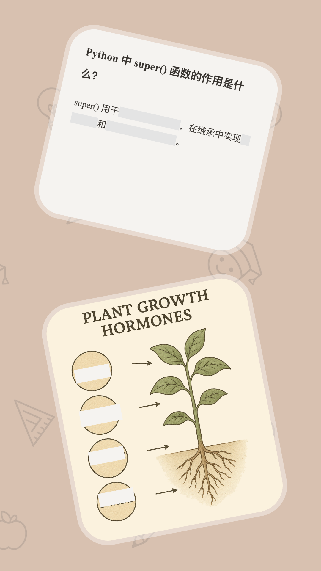 noolingo appv1.4.0 ��׿��