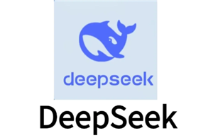 DeepSeekʲô DeepSeekô