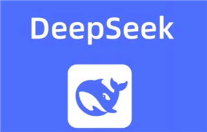 deepseekʲô˼ deepseek˼ɶ