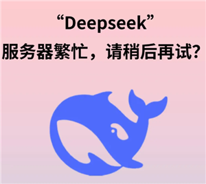 DeepSeekæô DeepSeekæô