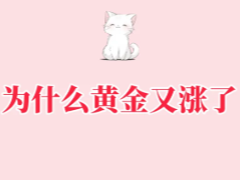 ζʲô ˵ʲô