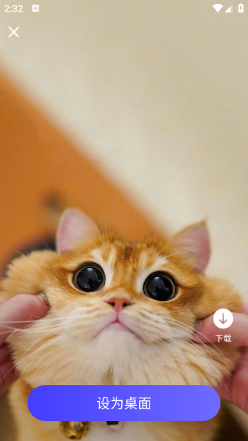 Ȼֽapp