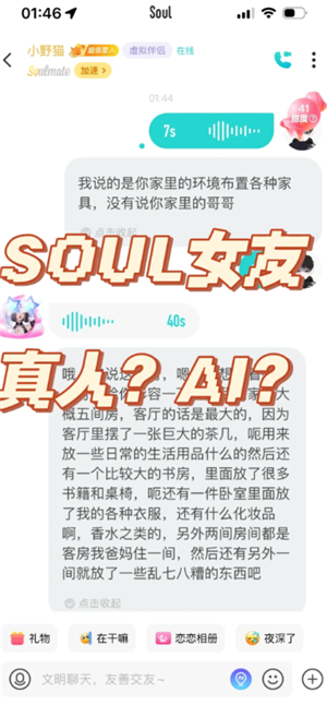 soulΪʲô˵Լ soulΪʲôǻ