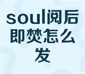 soulĺ󼴷ͼƬô soulĺ󼴷ٿôûҵ