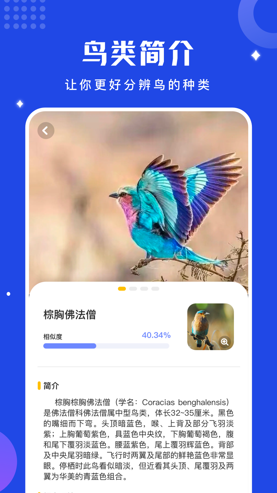Էٷ(﷭)v1.13 °