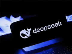 deepseekѧָ deepseekѧ׼
