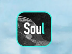 soulΪʲô˵Լ soulΪʲôǻ