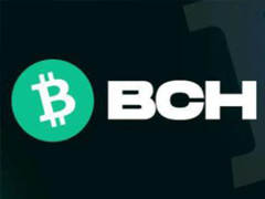bchֵóڳ رֽbchܴﵽ10,000Ԫ
