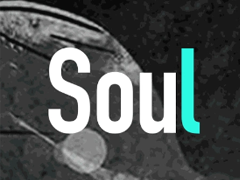 soulҪǮ ˽ҪǮ soulշ