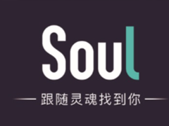 soul¼ôָ soul¼ɾ˻ָܻ
