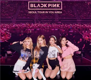 BLACKPINK2025Ѳݳг BLACKPINK2025ѲʲôʱƱ