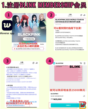 BLACKPINK2025Ѳݳг BLACKPINK2025ѲʲôʱƱ