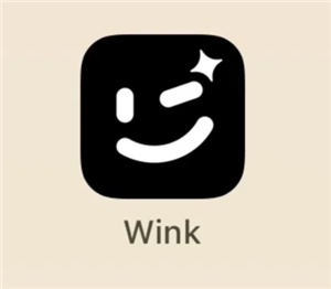 wink޸ѵ wink޸һü
