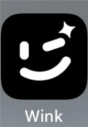 wink޸ѵ wink޸һü