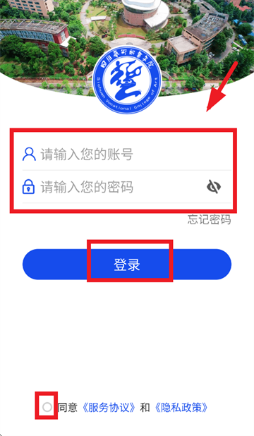 ǻ۴app