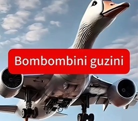 ɽȫͼƬ8