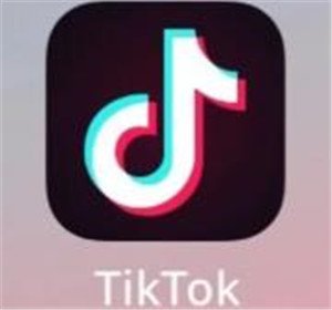 TikTokֱ TikTokֱʲô