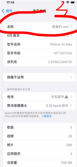 iphoneͶô iphoneͶûзӦ