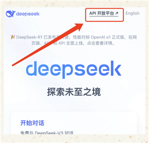 deepseekԻ deepseekԻϸ