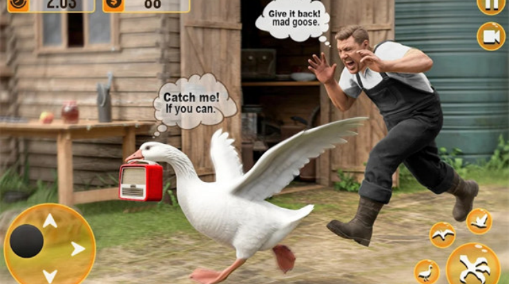 ѼϷ3Dģ(Duck Game 3d: Goose Simulator)v1.0.1 °