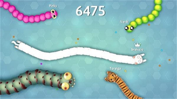 Snakeio¹ʰv2.1.37 ׿