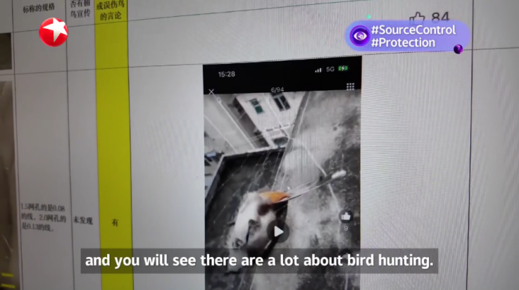 ٵTVv6.5.2 °