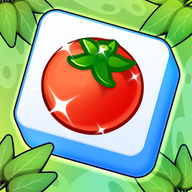 Ϸذװv1.1.2 ׿
