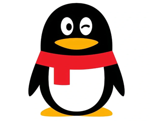 qq qq۸ѯʽ