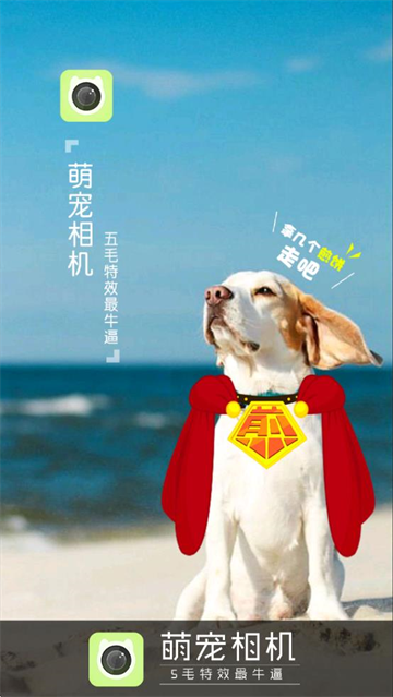 ȳ