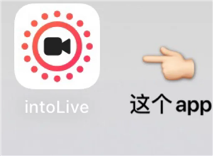 intoLive intoLive޷򿪵ԭ򼰽