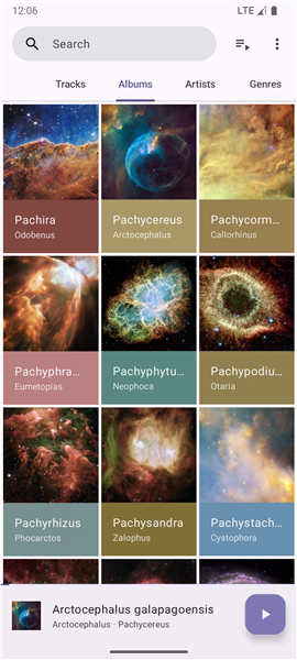 Phocid