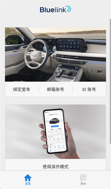 Bluelink app