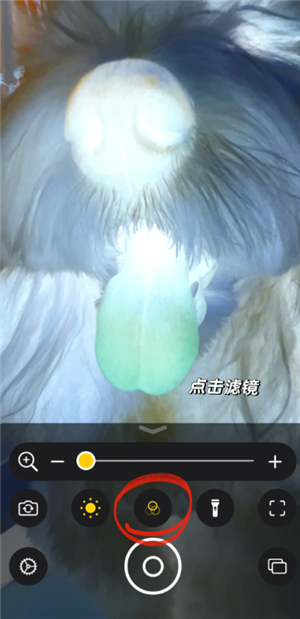 iPhoneԼϵĳ iPhoneⷽ