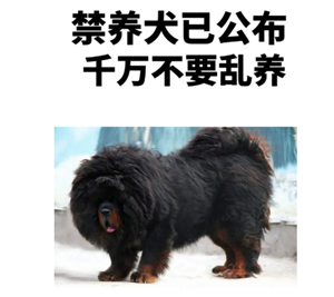 ȮЩ ȮôǺϷ