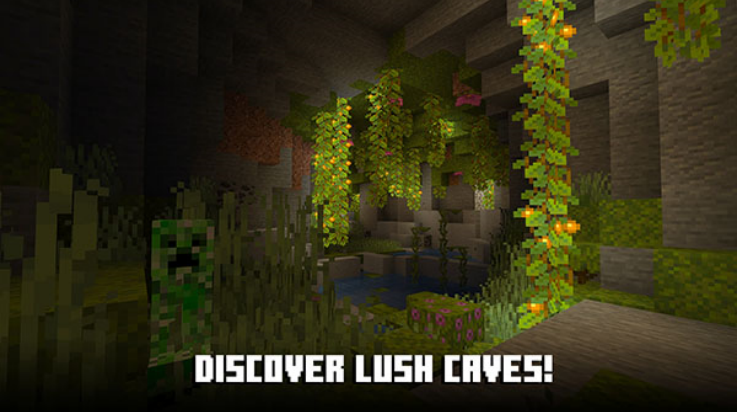 ҵʷ1.21.80ʽذװ(Minecraft)v1.21.81.2 °