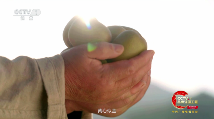 ֱapp(Lֱ)v5.2.0 °