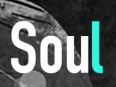 soul¿Ǹ soul¿ʲô