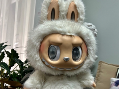 ػֿת ػЧڶ