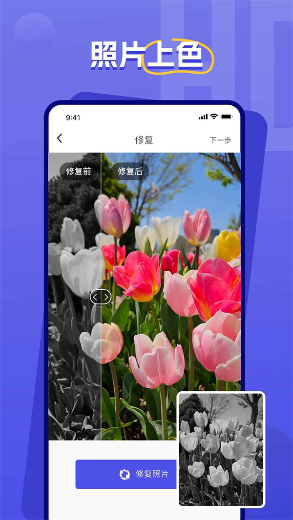 ޸appv2.3 ׿