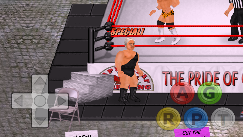 Wrestling RevolutionˤǸ3Dv2.040 İ