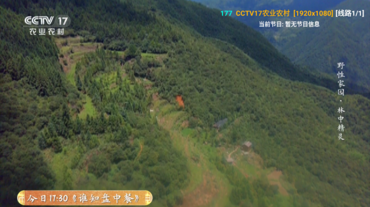 ȫӰtvv6.1.3 °
