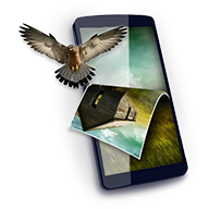 Ӧֽappv4.6.0 ֻ