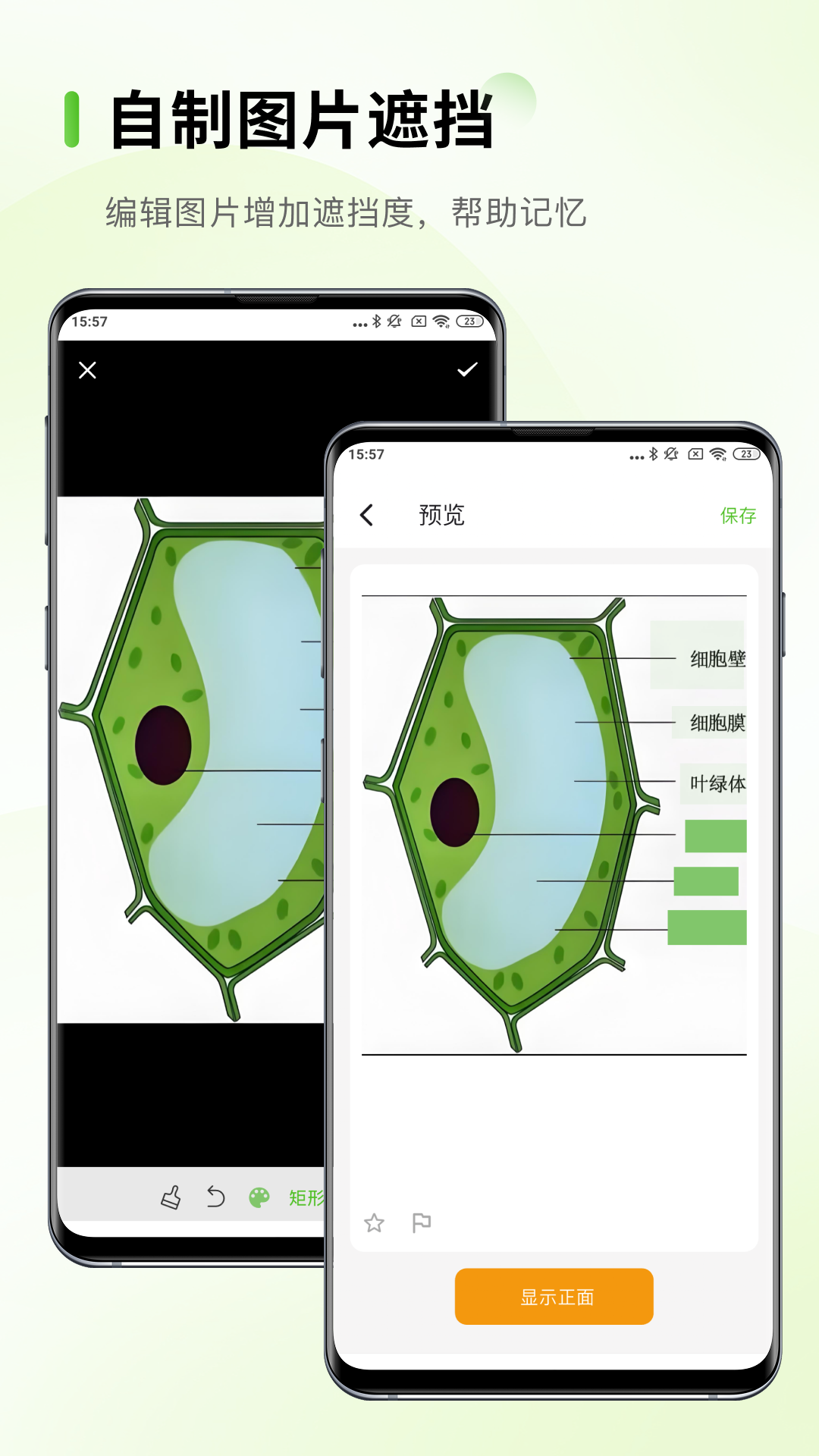 Anymo appv3.3.10 ׿